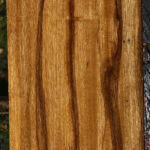 Extra Fancy Branquilho Lumber