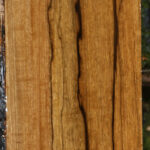 Figured Branquilho Lumber