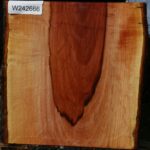 Figured Beefwood Live Edge Bowl Blank