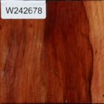 Figured Beefwood Bowl Blank