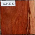 Figured Beefwood Bowl Blank