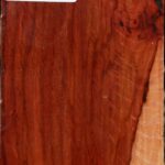 Extra Fancy Beefwood Turning Square