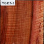 Extra Fancy Beefwood Bowl Blank