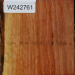 Figured Beefwood Bowl Blank