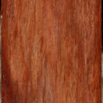 Extra Fancy Beefwood Peppermill