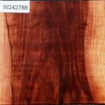 Extra Fancy Beefwood Bowl Blank