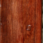 Figured Beefwood Turning Square