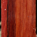 Extra Fancy Beefwood Peppermill