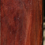 Beefwood Turning Square