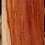 Figured Beefwood Peppermill