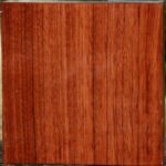 Bubinga Bowl Blank
