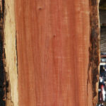 Figured Pink Ivory Live Edge Micro Lumber