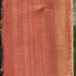 Figured Pink Ivory Micro Lumber