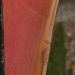 Pink Ivory Live Edge Lumber
