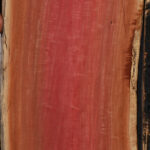 Figured Rustic Pink Ivory Live Edge Lumber
