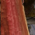 Extra Fancy Pink Ivory Live Edge Lumber