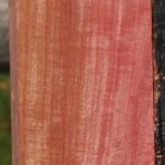 Extra Fancy Pink Ivory Lumber