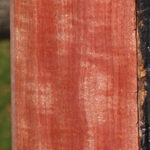 Extra Fancy Pink Ivory Lumber