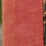 Figured Pink Ivory Lumber