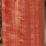 Extra Fancy Pink Ivory Lumber