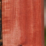 Figured Pink Ivory Lumber