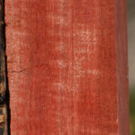 Extra Fancy Pink Ivory Lumber