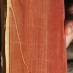 Pink Ivory Live Edge Lumber