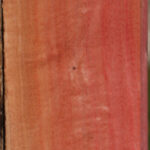 Extra Fancy Pink Ivory Lumber