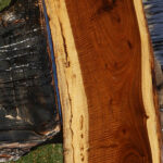 Exhibition Tamboti Live Edge Lumber