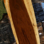 Extra Fancy Tamboti Live Edge Lumber