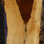 Figured Tamboti Live Edge Lumber
