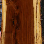 Tamboti Live Edge Lumber