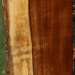 Extra Fancy Tamboti Live Edge Lumber