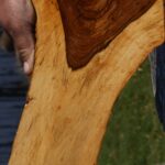 Tamboti Live Edge Lumber