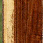 Figured Tamboti Live Edge Lumber