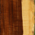 Extra Fancy Tamboti Live Edge Lumber