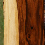 Rustic Tamboti Live Edge Lumber