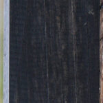 Gabon Ebony Lumber
