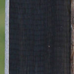 Gabon Ebony Micro Lumber