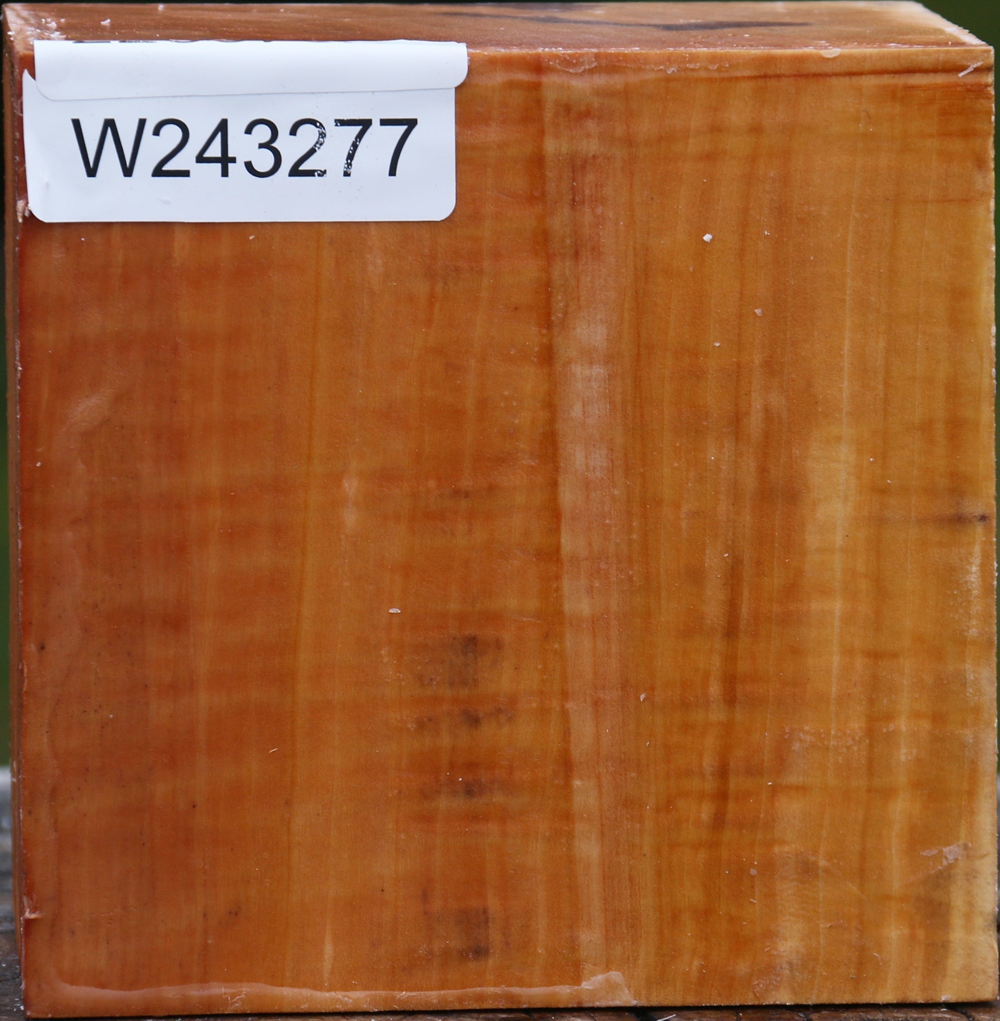 243277_1_66cf5362-1208-411f-92a0-59201f083c8e Figured Swiss Pear Bowl Blank - Image 1