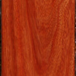 Bloodwood Lumber
