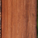 Madagascar Rosewood Micro Lumber