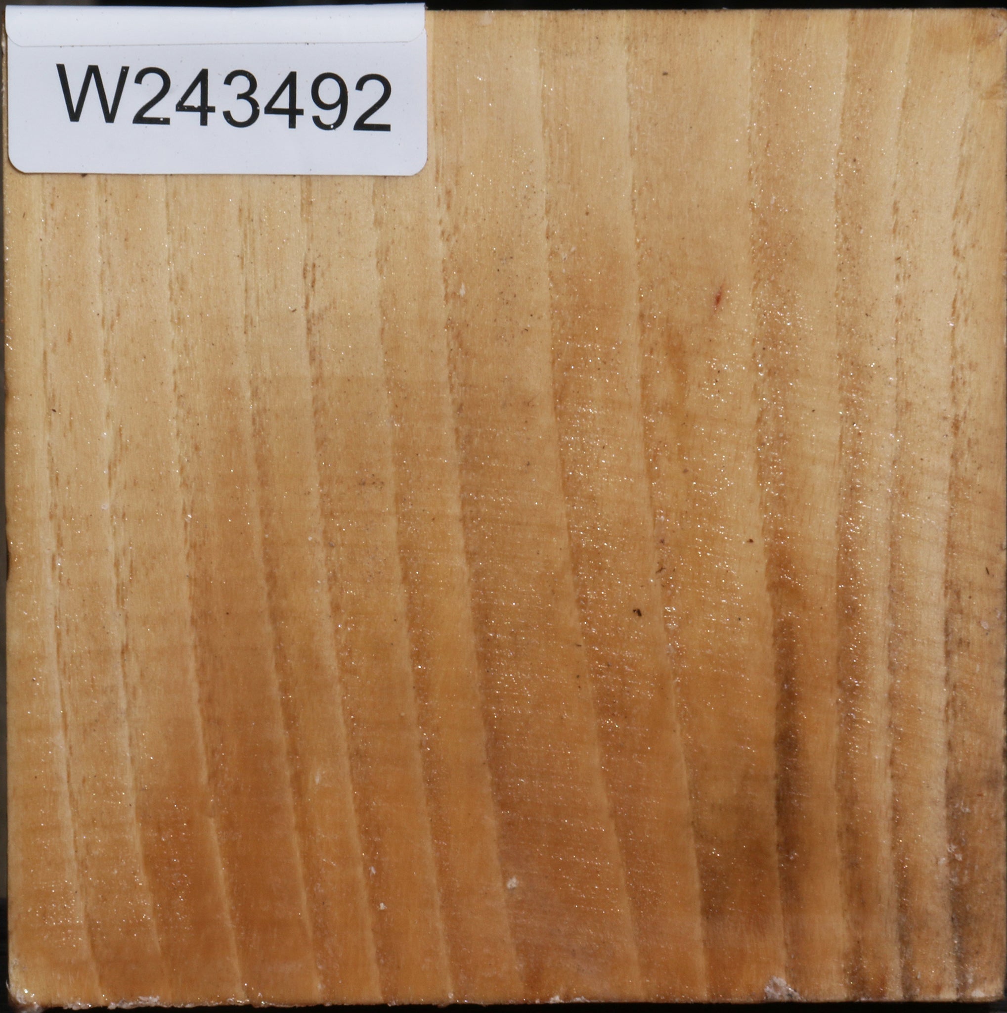 243492_1_723395d1-727b-45b1-afe9-5054b130b4b1 Pecan Bowl Blank - Image 1