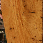 Figured Cerejeira Micro Lumber