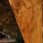 Figured Cerejeira Lumber