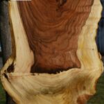 Pistachio Live Edge Lumber