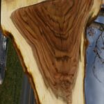 Figured Rustic Pistachio Live Edge Lumber