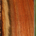 Extra Fancy Pistachio Lumber