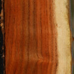 Extra Fancy Pistachio Live Edge Lumber