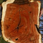 Extra Fancy Grafted Pistachio Live Edge Lumber